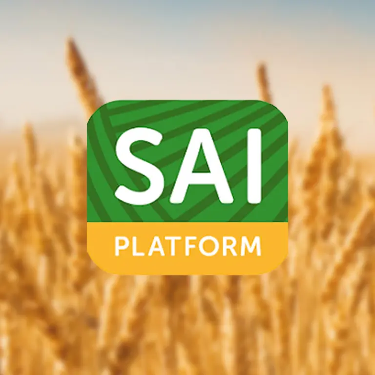 Vignette avec le logo SAI Platform