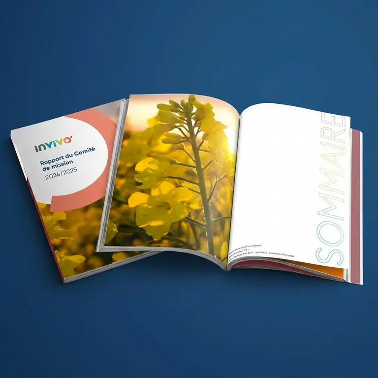 Rapport comité de mission